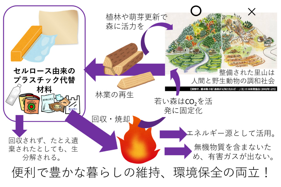 日本古来の環境調和型 物質循環社会＋先端技術
