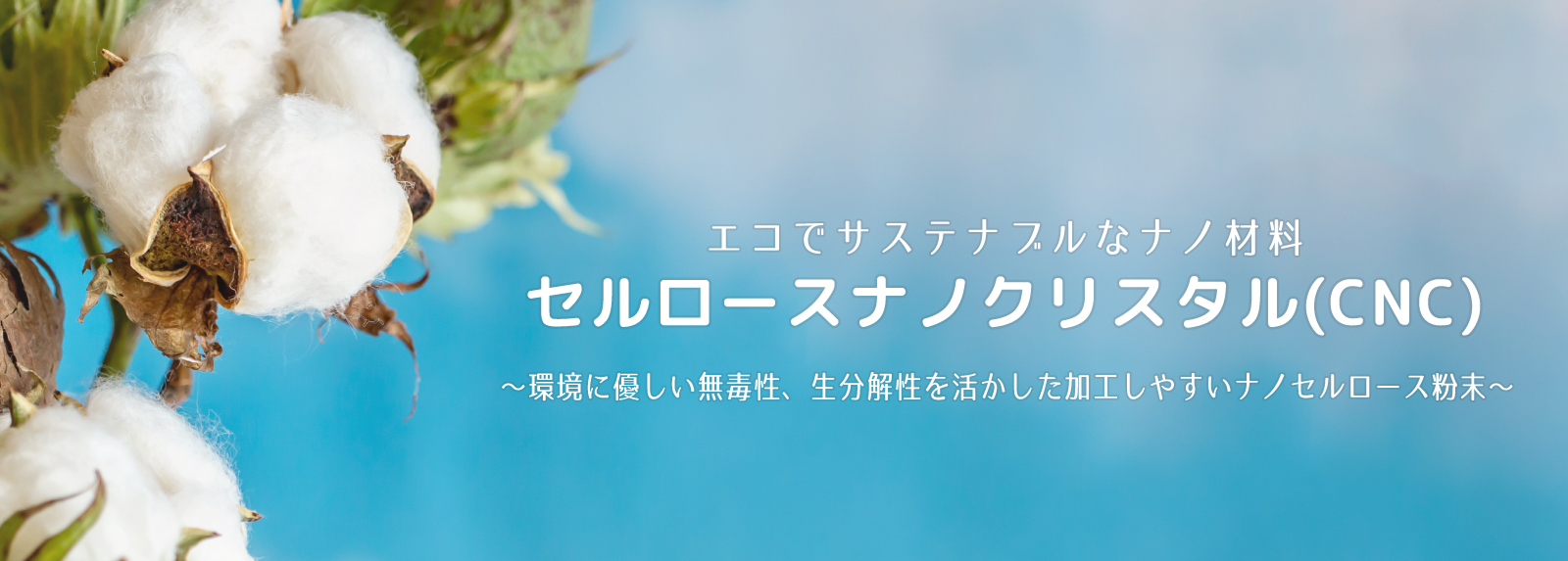 エコでサステナブルな樹脂 セルロースナノクリスタル?環境に優しい無毒性、生分解性を活かした加工しやすいナノセルロース粉末?
